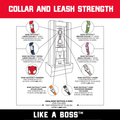 Unbreakable Tracking Leash