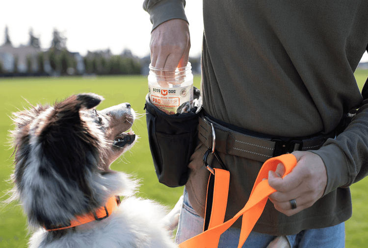 Proballs Treats w/ Probiotics