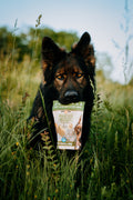 Probites Tripe Treats w/ Probiotics