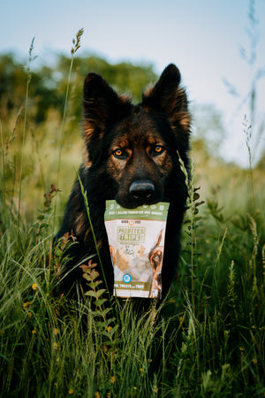 Probites Tripe Treats w/ Probiotics