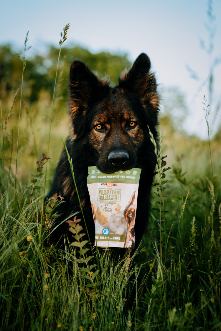 Probites Tripe Treats w/ Probiotics