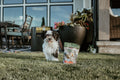 Probites Tripe Treats w/ Probiotics