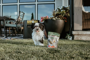Probites Tripe Treats w/ Probiotics