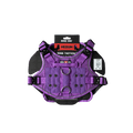 ProSeries™  Harness - Medium