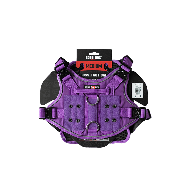 ProSeries™  Harness - Medium