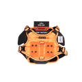 ProSeries™  Harness - Medium