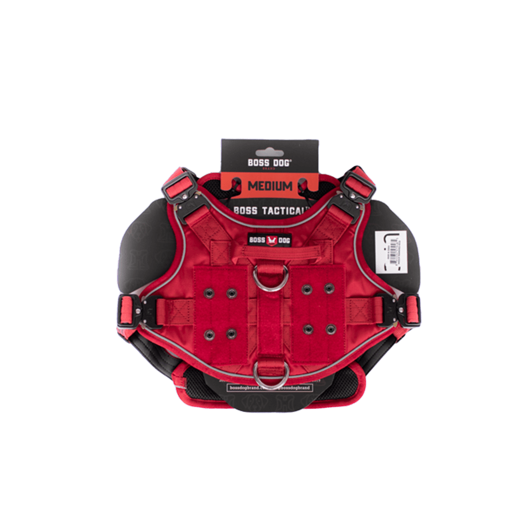 ProSeries™  Harness - Medium