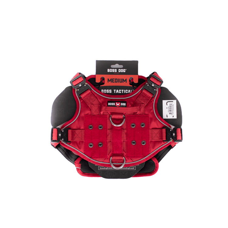 ProSeries™  Harness - Medium