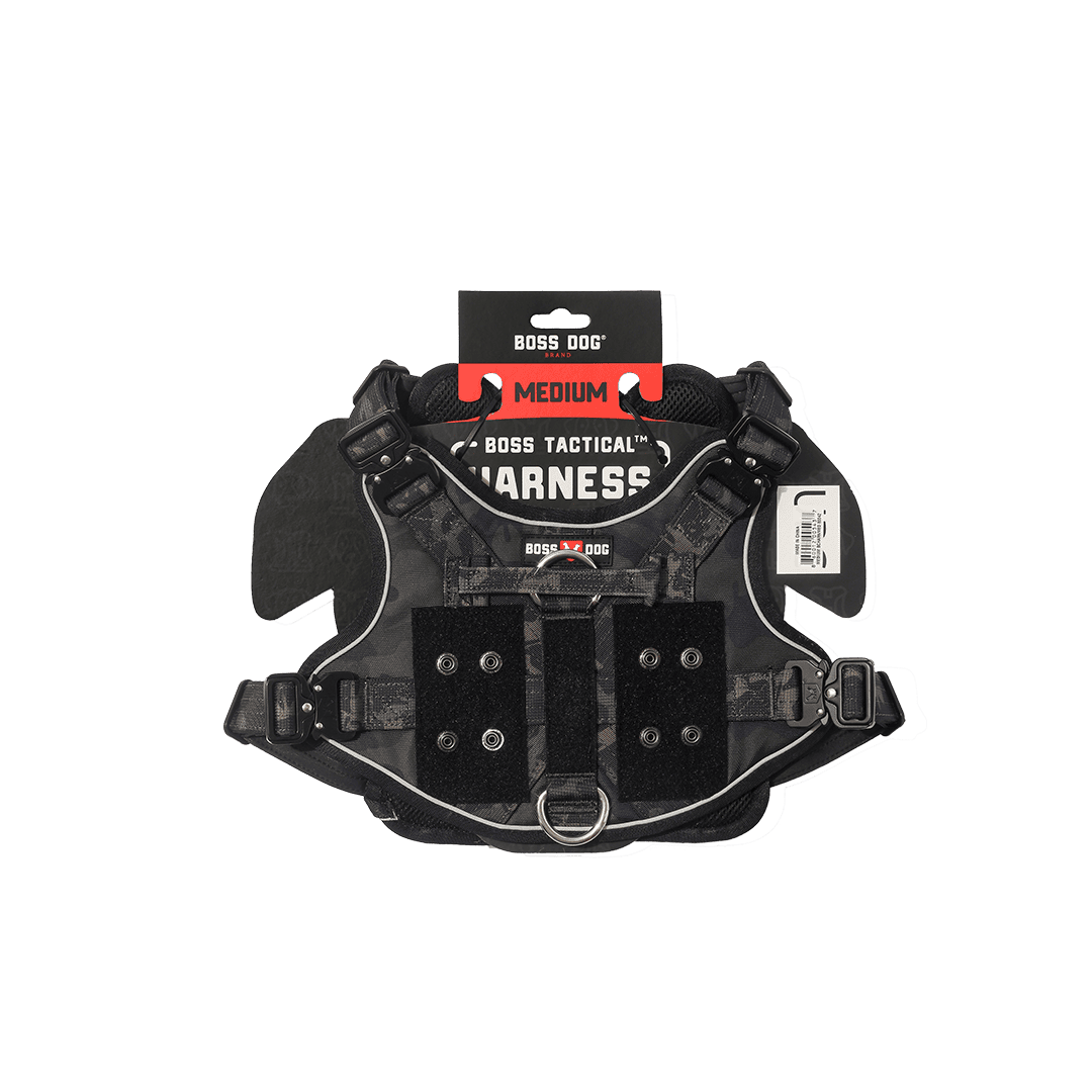 ProSeries™  Harness - Medium