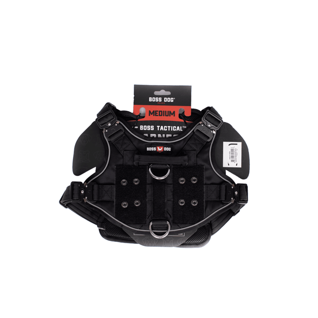 ProSeries™  Harness - Medium
