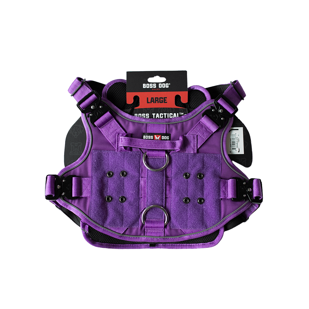 ProSeries™  Harness - Large