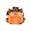 ProSeries™  Harness - Large