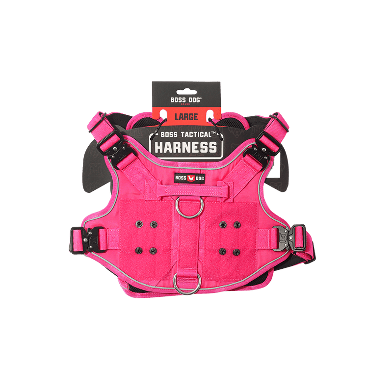 ProSeries™  Harness - Large