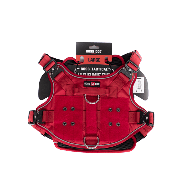 ProSeries™  Harness - Large