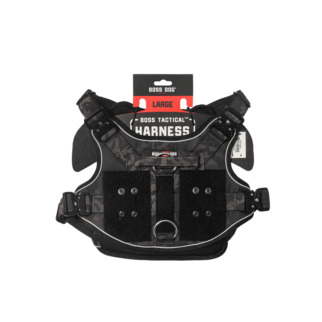 ProSeries™  Harness - Large