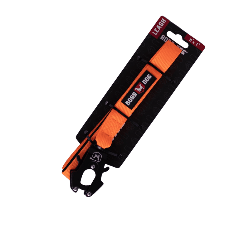 Unbreakable Leash