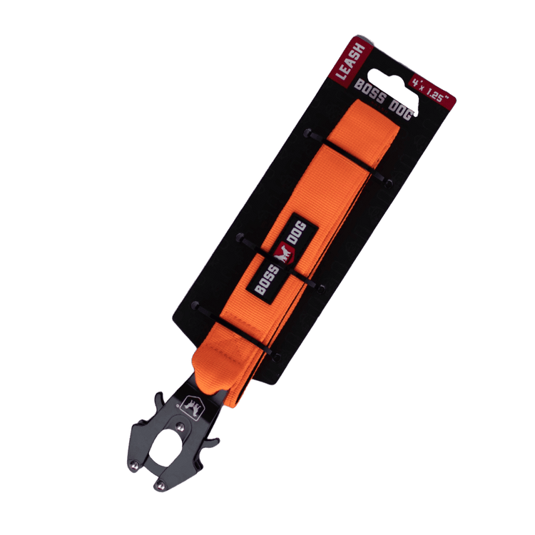 Unbreakable Leash