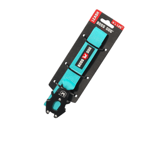 ProSeries™  Leash