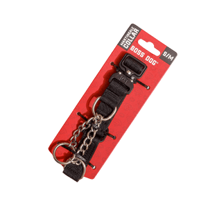 Martingale Collar