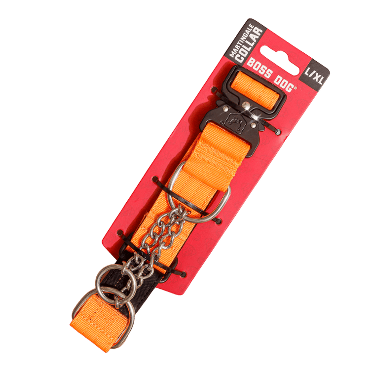 Unbreakable Martingale Collar