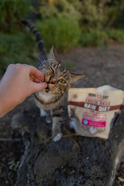 Boss Cat Freeze Dried Raw Diet for Cats