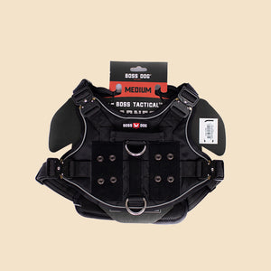ProSeries™  Harness