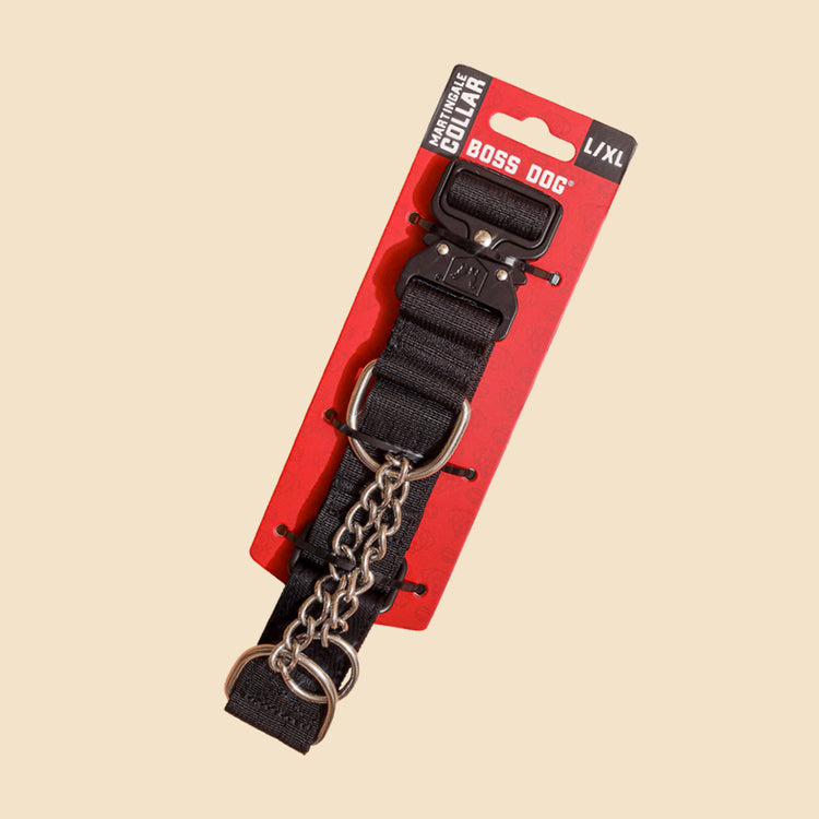 Unbreakable Martingale Collar