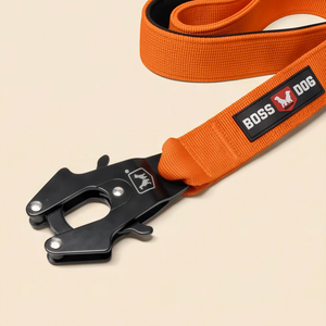 ProSeries™  Leash