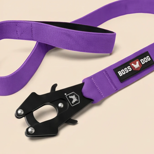 ProSeries™  Leash