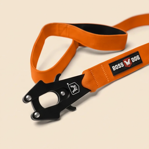 ProSeries™  Leash