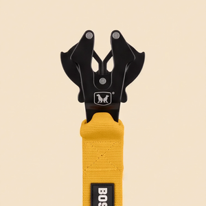 ProSeries™  Leash
