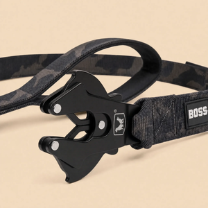 ProSeries™  Leash