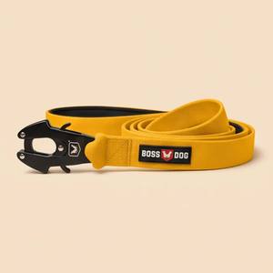 ProSeries™  Leash