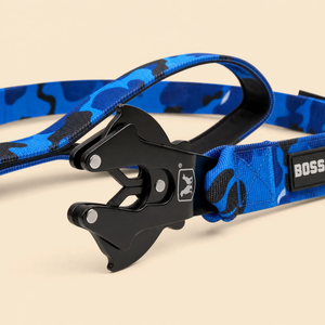 ProSeries™  Leash