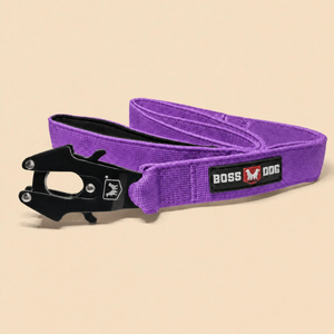 ProSeries™  Leash