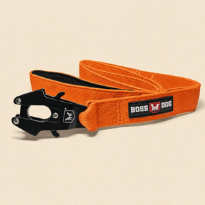 ProSeries™  Leash