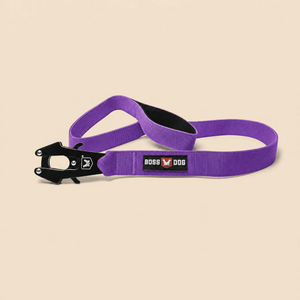 ProSeries™  Leash