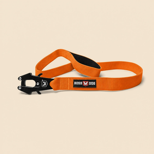 ProSeries™  Leash