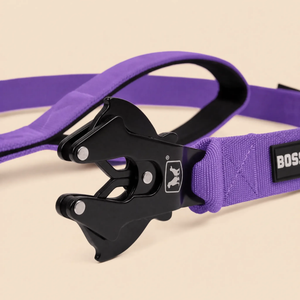 ProSeries™  Leash