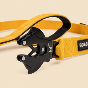 ProSeries™  Leash