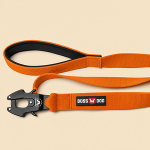 ProSeries™  Leash