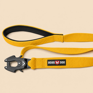 ProSeries™  Leash
