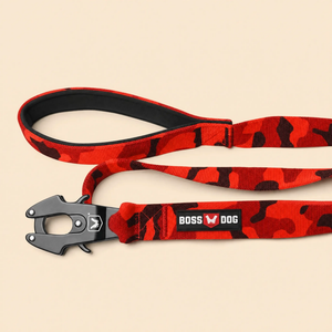ProSeries™  Leash