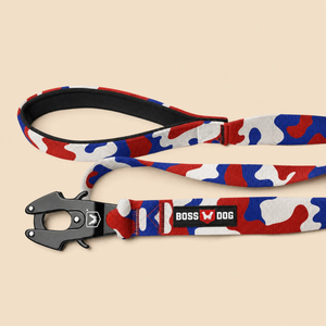 ProSeries™  Leash