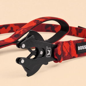 ProSeries™  Leash