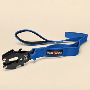 ProSeries™  Leash