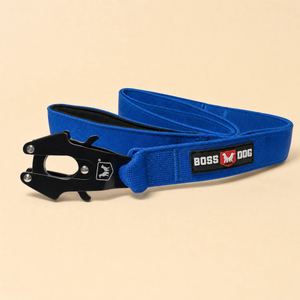ProSeries™  Leash
