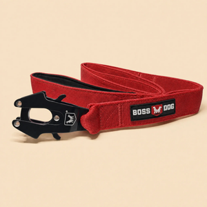 ProSeries™  Leash