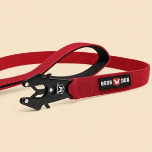 ProSeries™  Leash