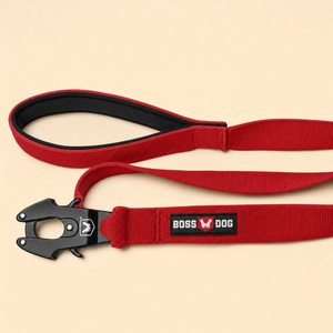 ProSeries™  Leash